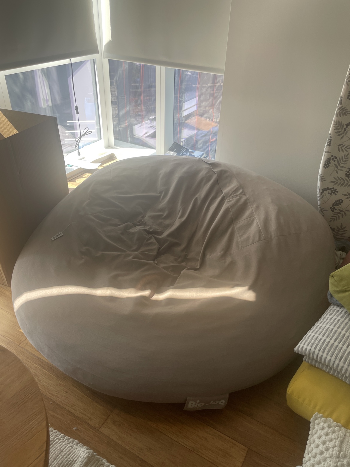 Big Bean Bag Chair (free pickup)