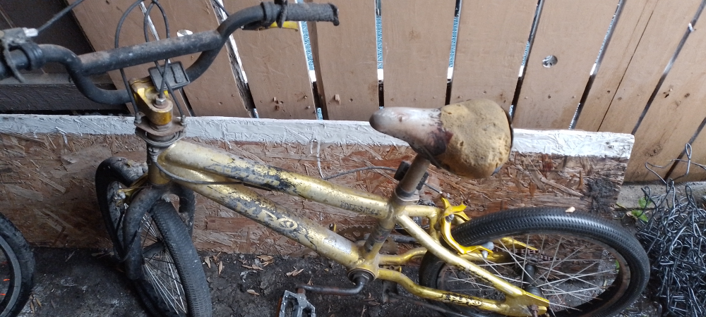 Gold Freestyle Bike
