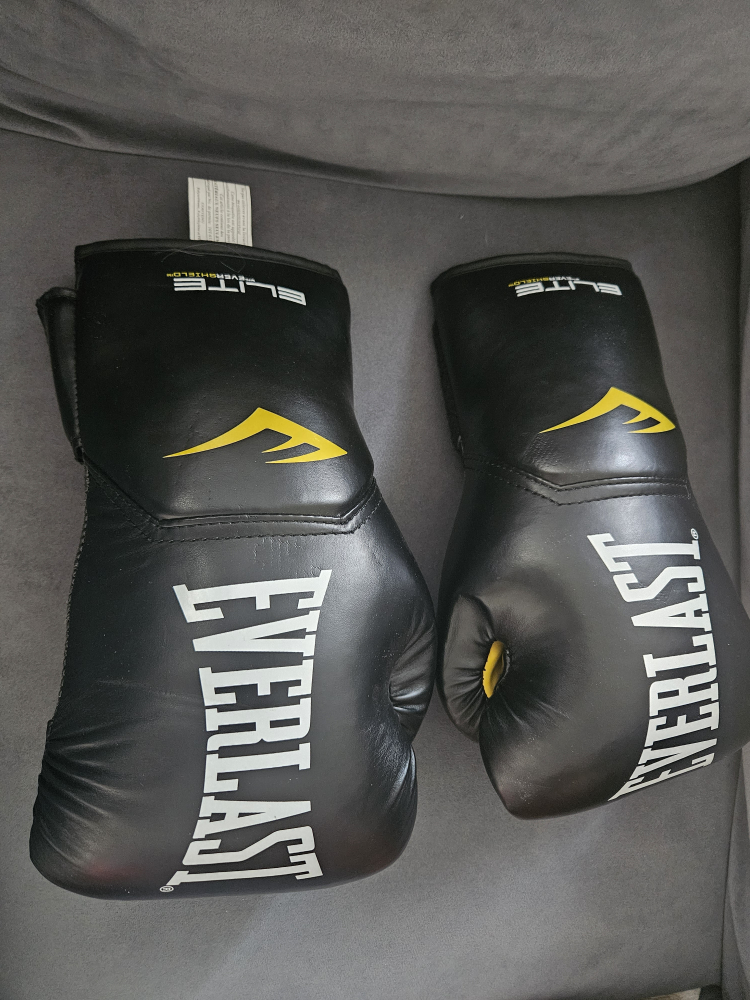 Everlast Boxing gloves
