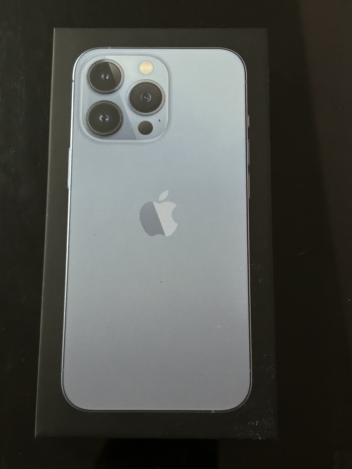 iPhone 13 Pro Max