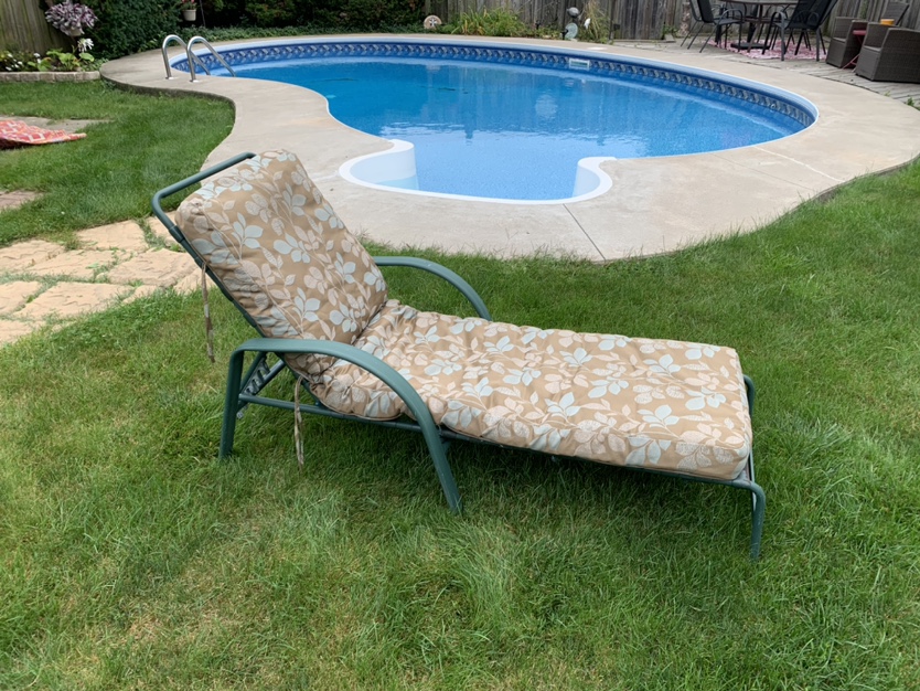 Metal Lounger with Hampton bay chair pad