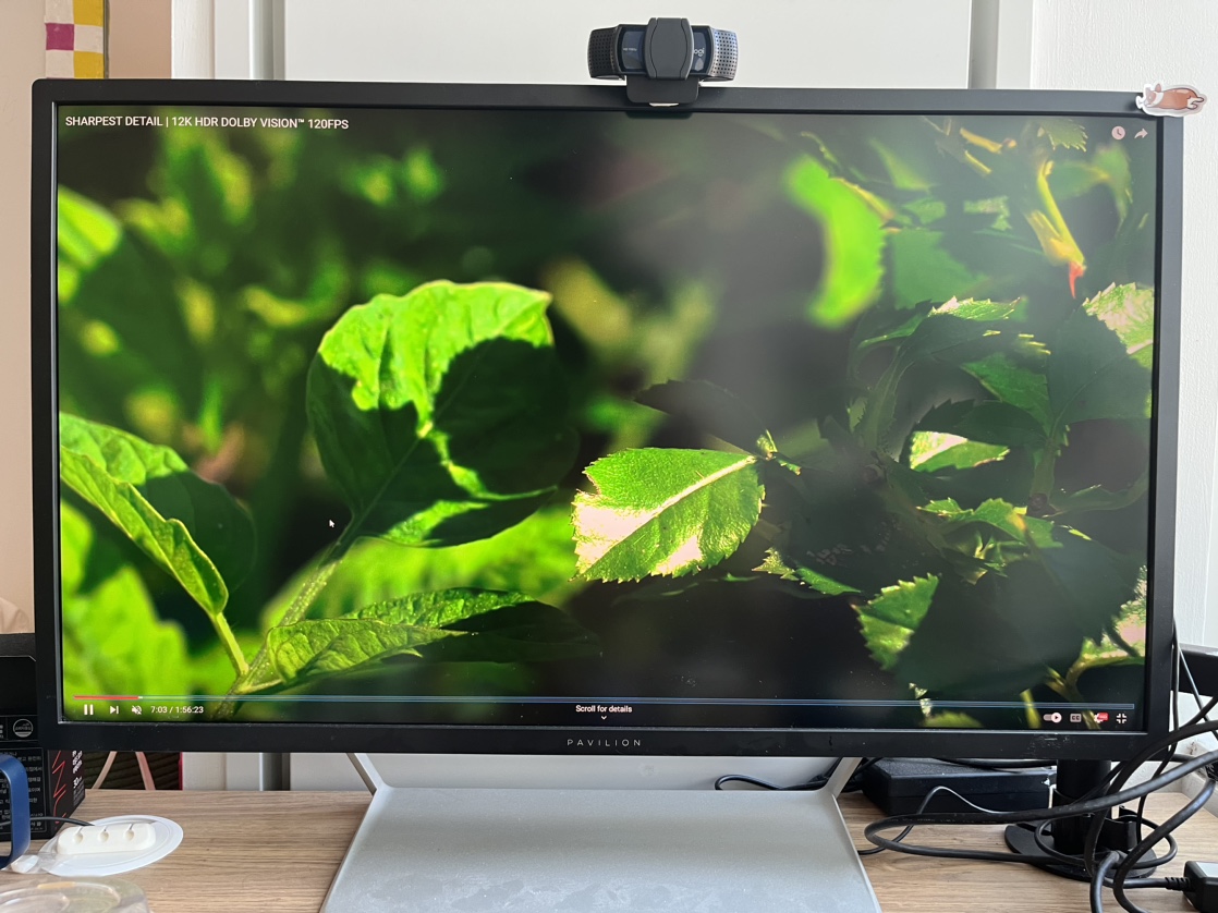 HP Pavilion 32 LED QHD Monitor
