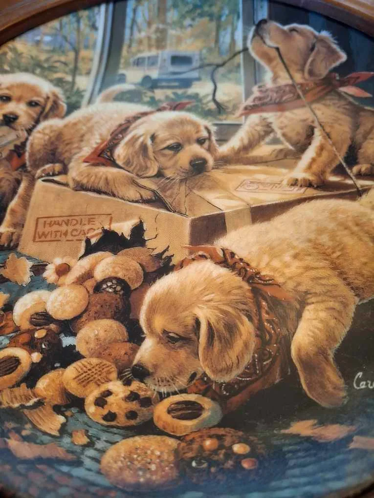 Decorative puppy plate in frame image indicator(2)