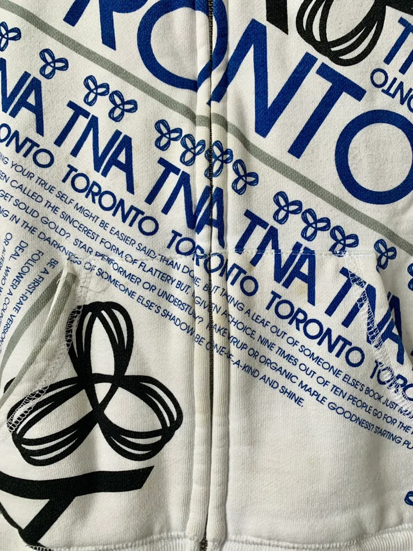 ‼️DECLUTTER SALE‼️ TNA/ARITZIA Toronto Zip Up Hoodie image indicator(3)