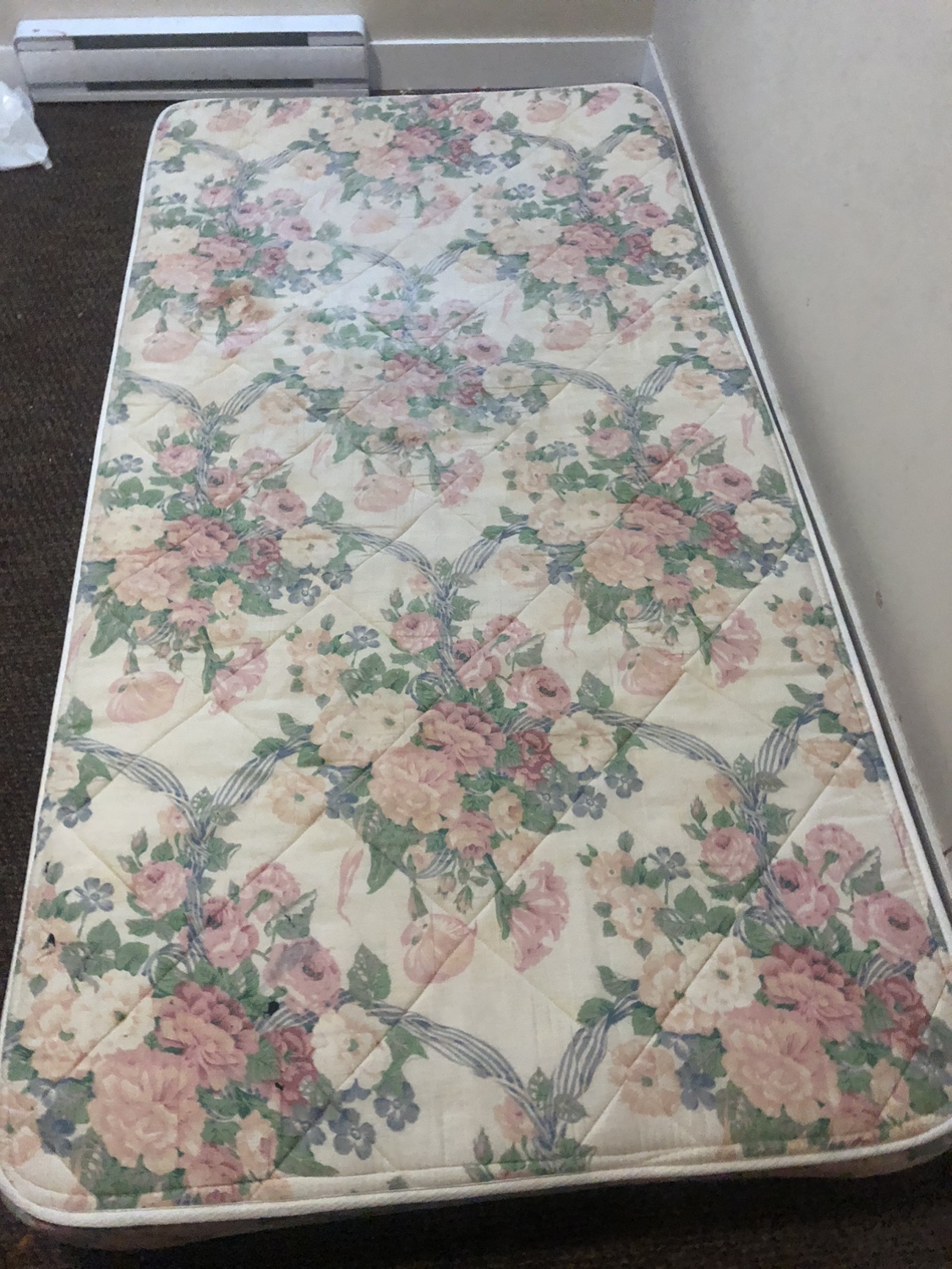 Twin Mattress #freecycle