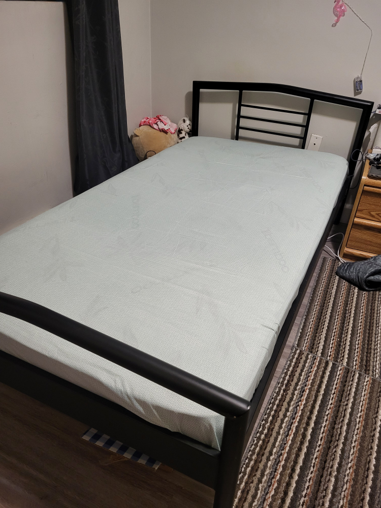 Black Metal Bed Frame Twin Size