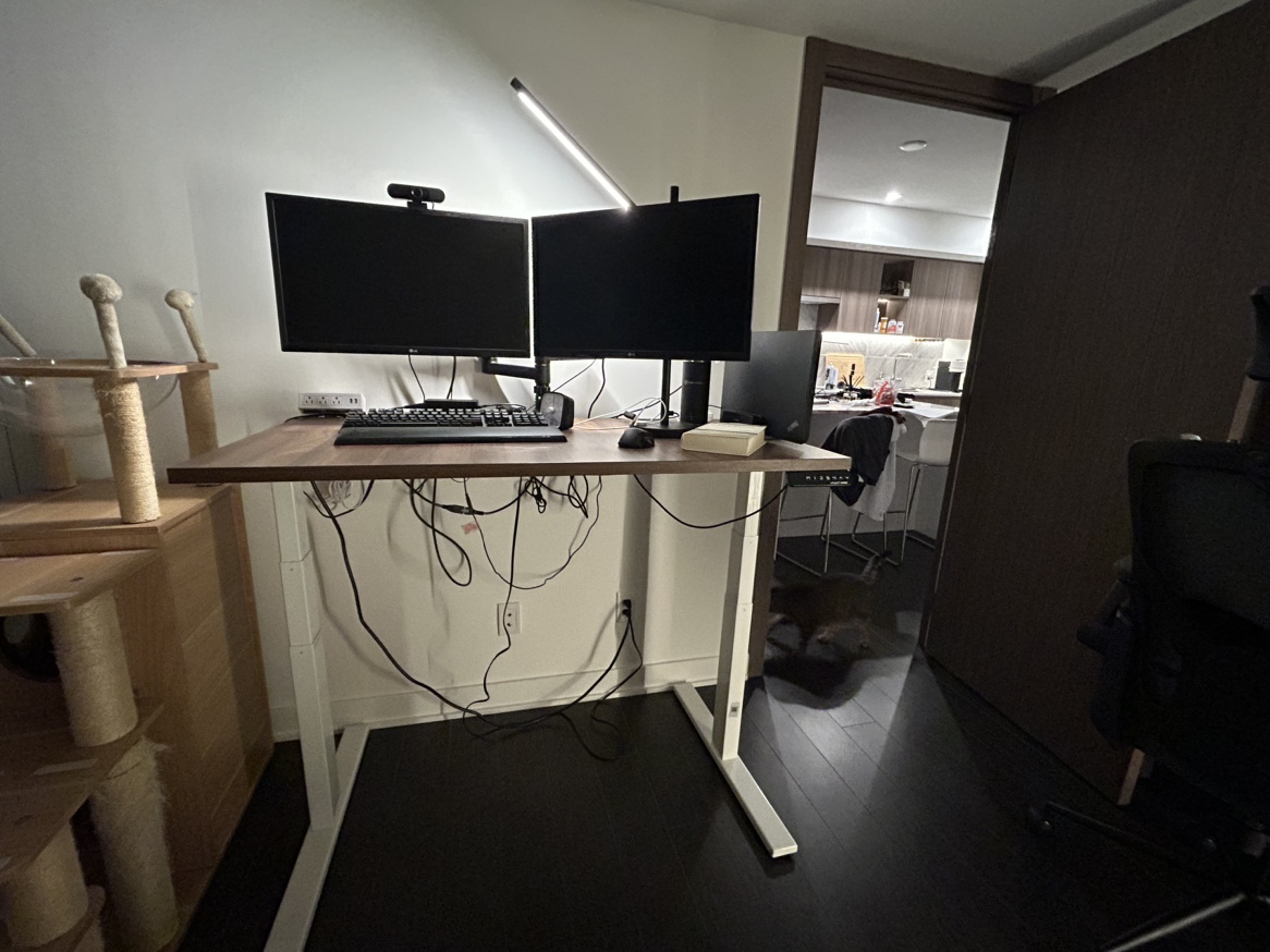 Electric Standing Desk