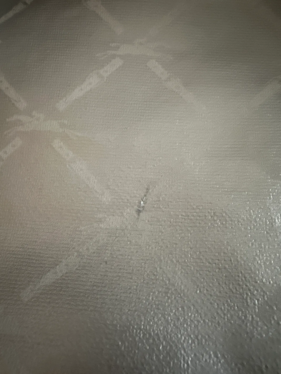 Purse image indicator(6)