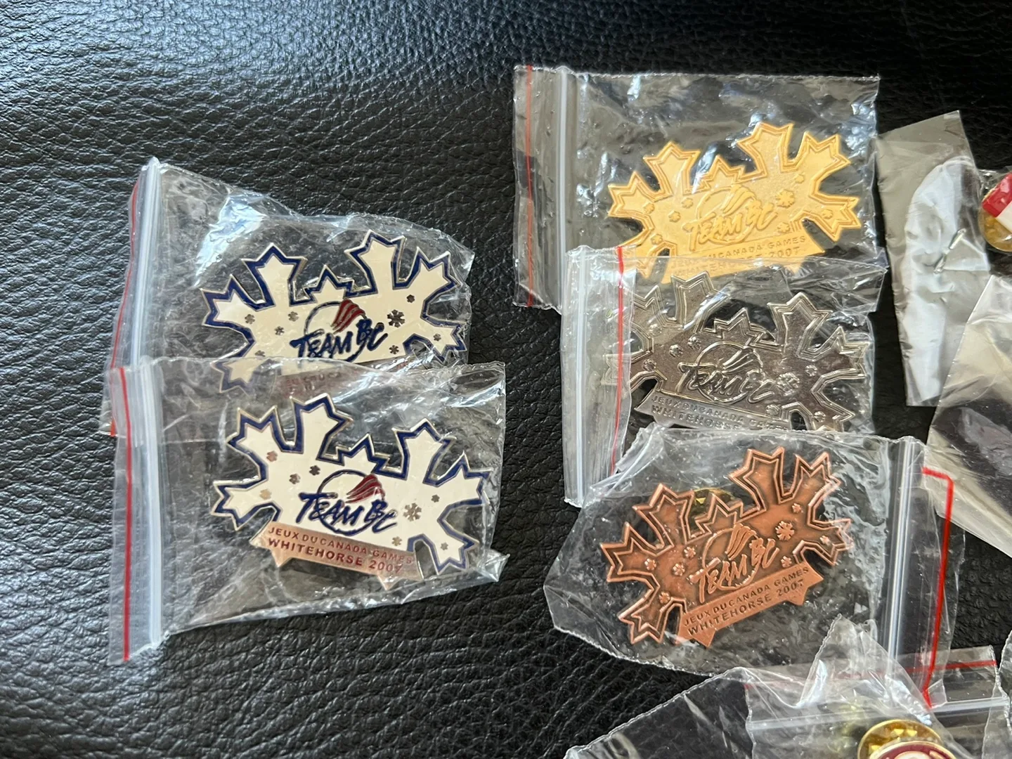 Team Canada & BC Pins image indicator(3)