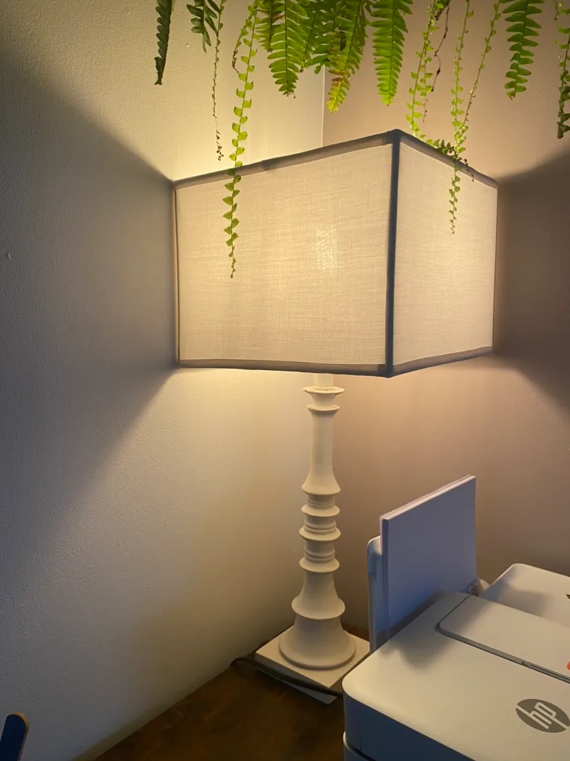 Lamp image indicator(4)