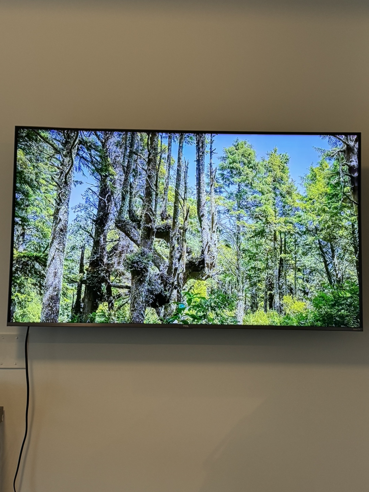 50" QLED 4K TCL 2023 - photo 2
