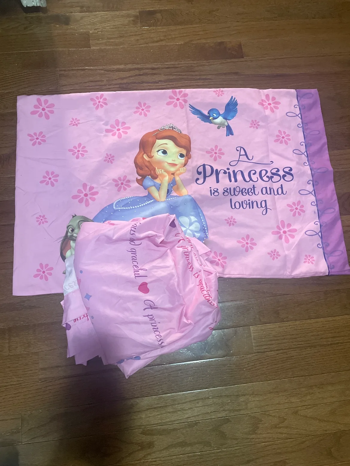 Princess Sophia Pillowcase & twin sheet set #freecycle thumbnail