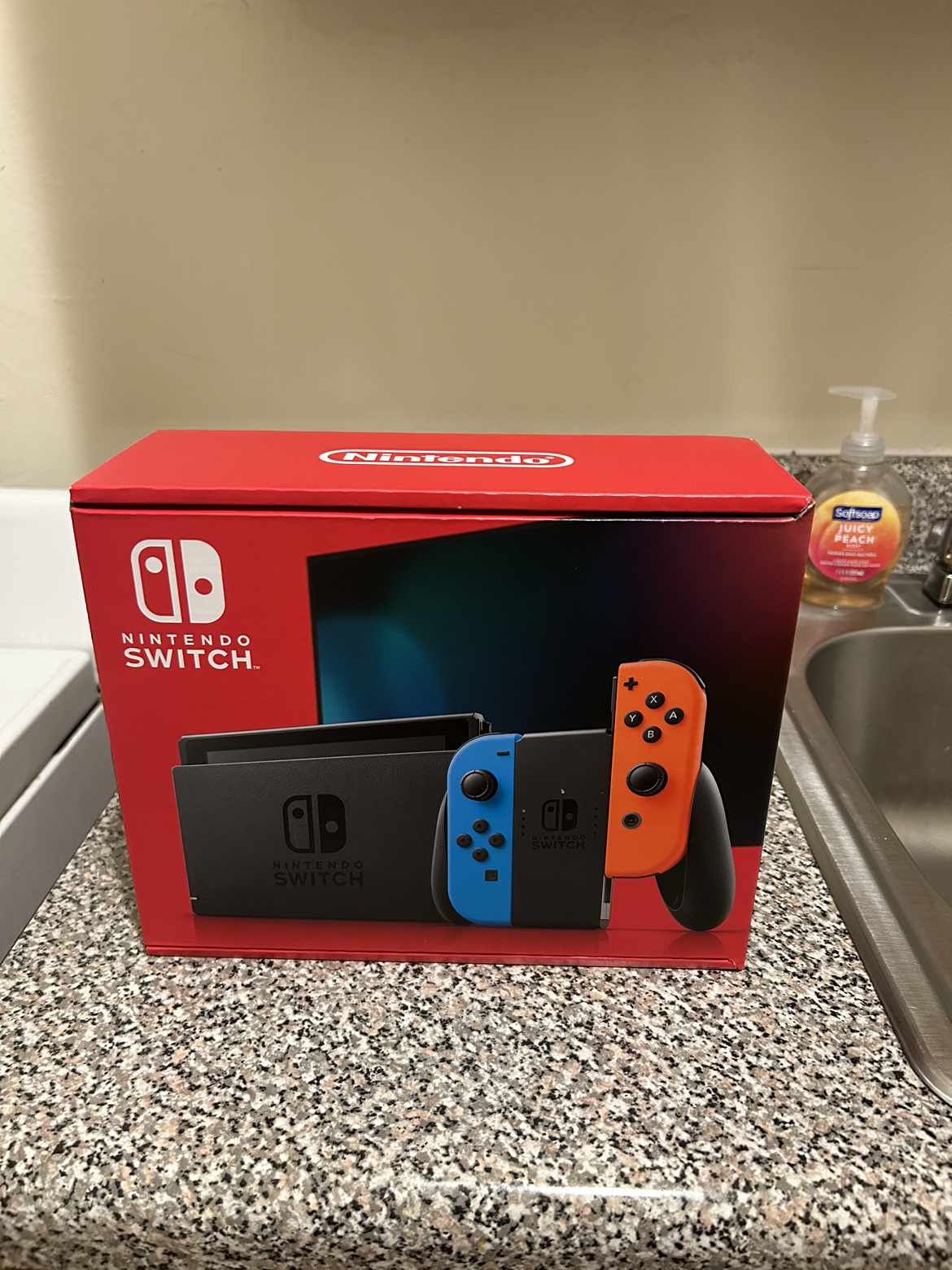 Nintendo Switch Console