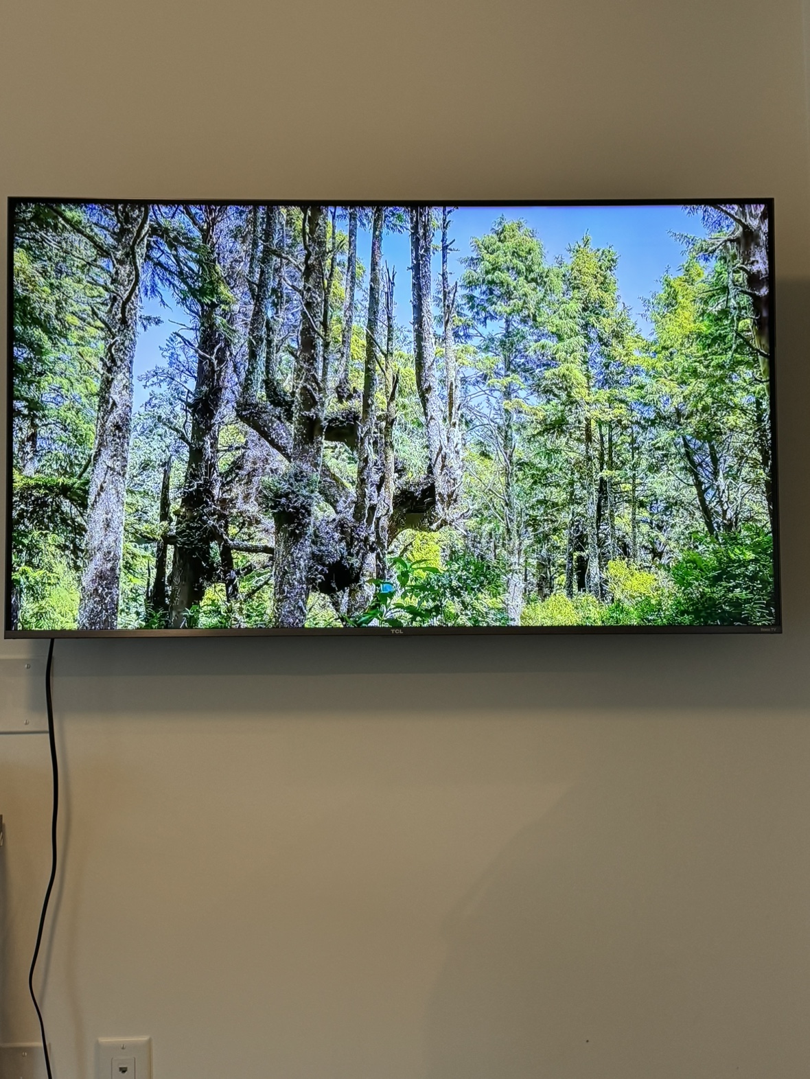 50" QLED 4K TCL 2023