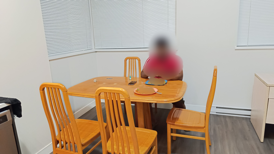 Dining Table with 6 chairs