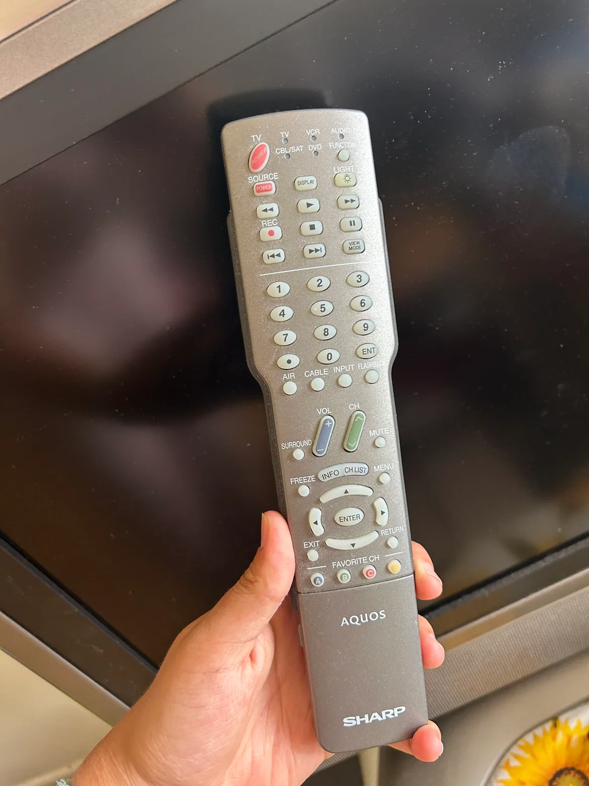 Sharp Aquos 32" LCD TV image indicator(3)