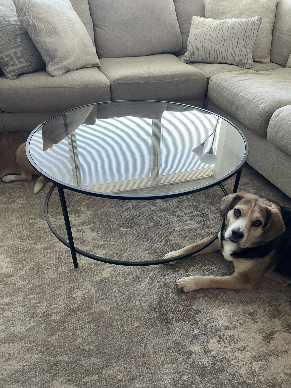 Round Glass Coffee Table