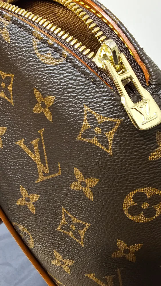 LV bag (ellipse PM handbag) image indicator(6)
