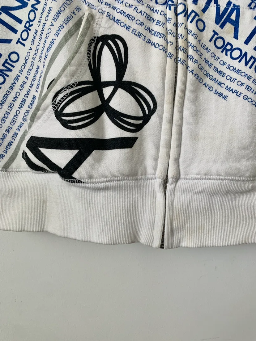 ‼️DECLUTTER SALE‼️ TNA/ARITZIA Toronto Zip Up Hoodie image indicator(4)