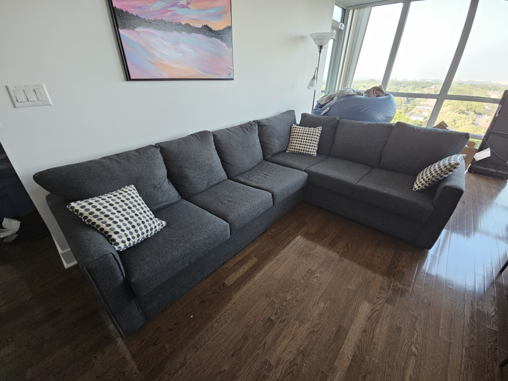 FREE DELIVERY Couch with queen bed - photo 4