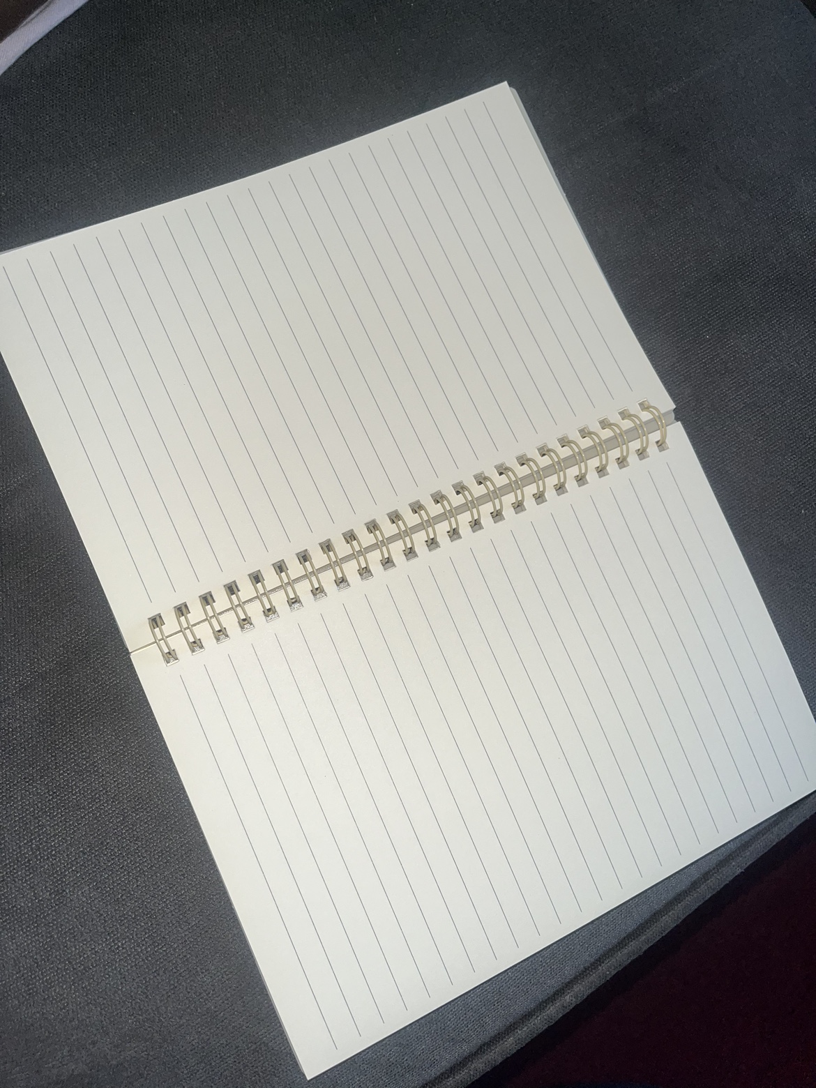 Spiral Bound small Notebook #freecycle - photo 2