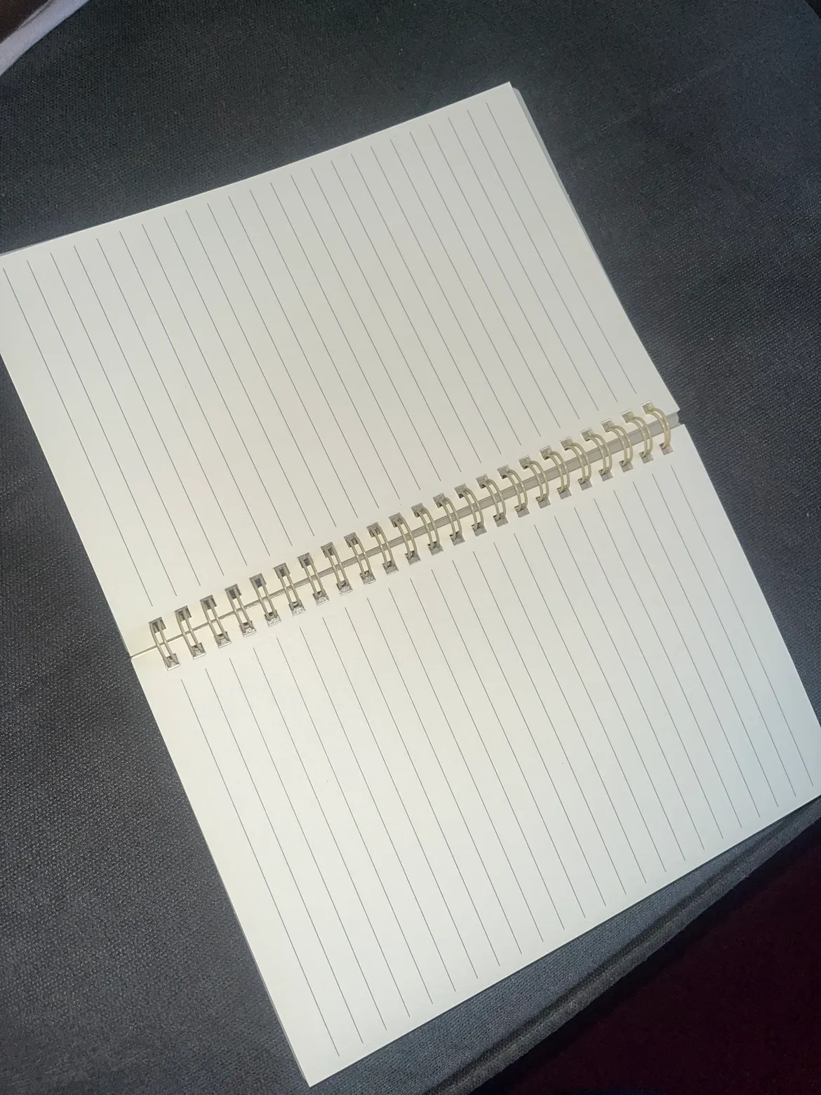 Spiral Bound small Notebook #freecycle image indicator(2)