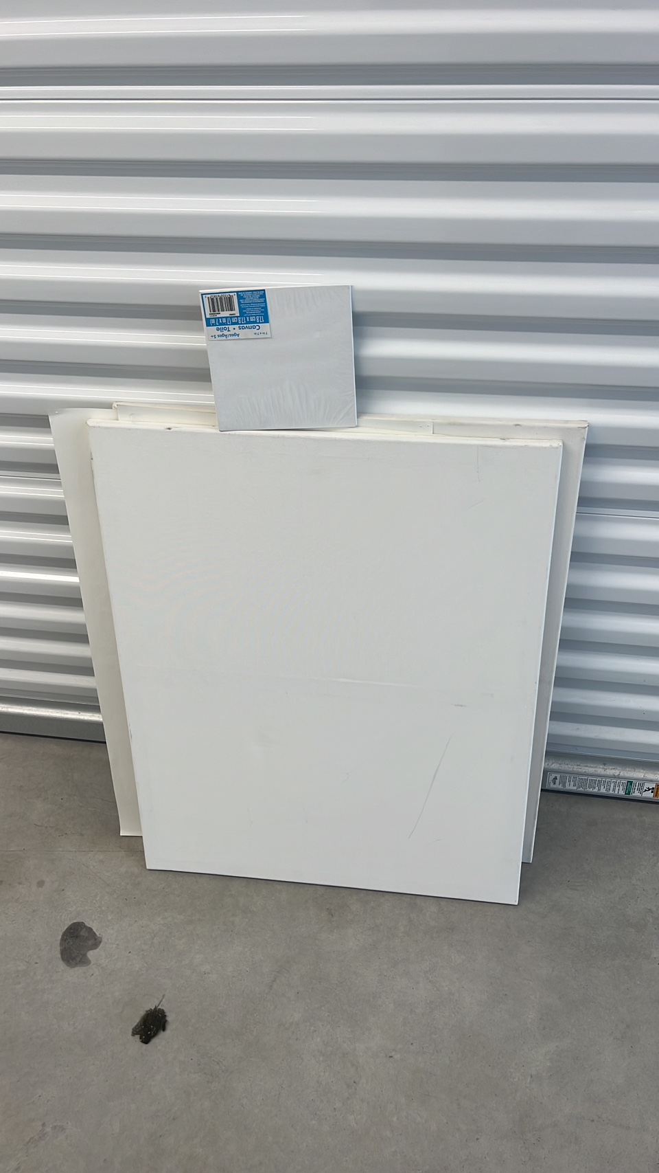 Canvas