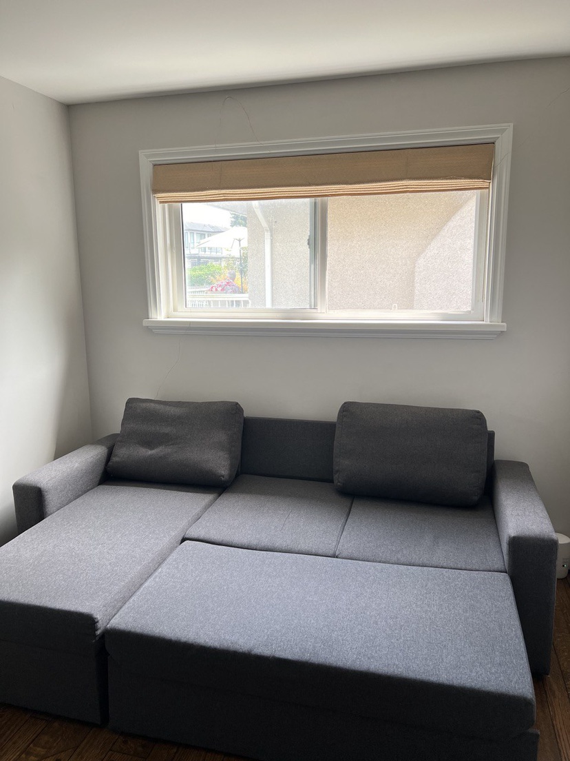 Couch (Sofa Bed)