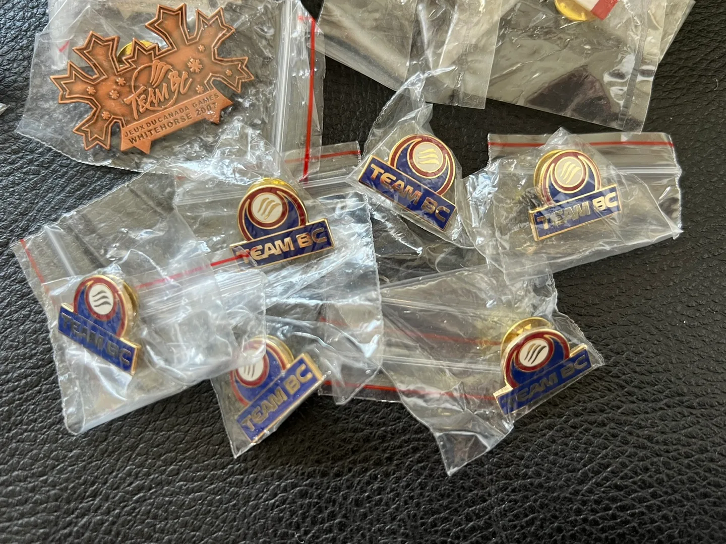 Team Canada & BC Pins image indicator(4)