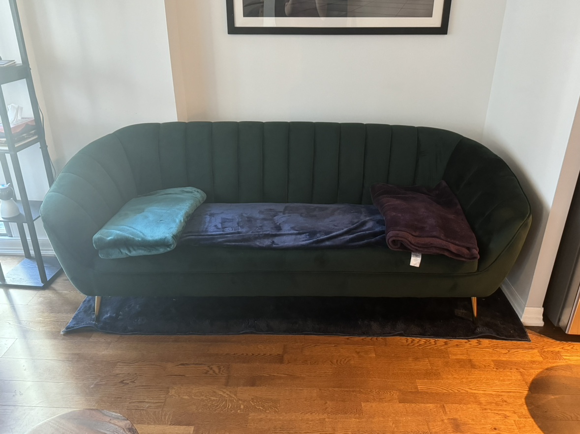 Wazo Green Velvet Sofa—MCM inspired - photo 2