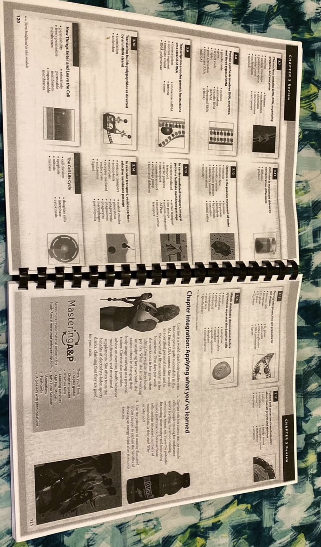 #freecycle Visual and antatomy - photo 2