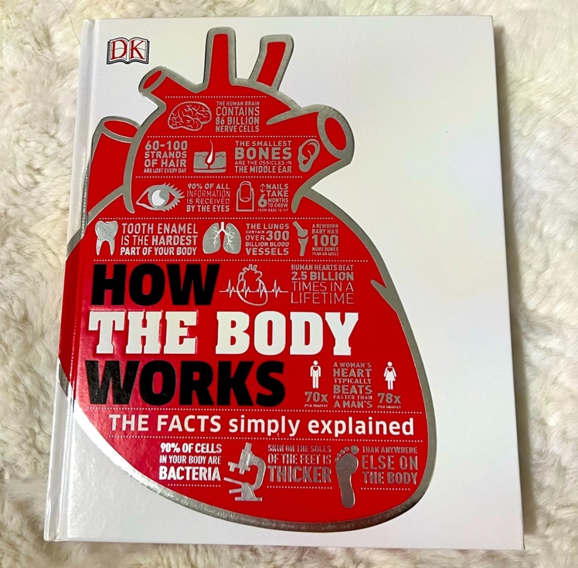 How the Body Works: The Facts Simply Explained