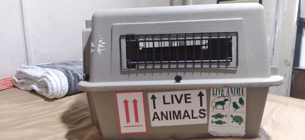 Petmate Dog Crate