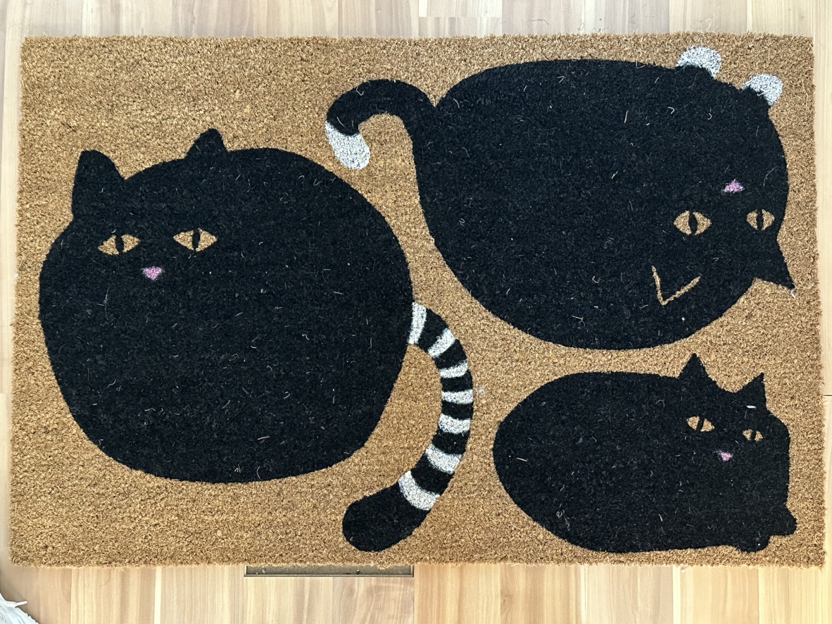 NEW IKEA Vägtyp Door mat, 60x90 cm