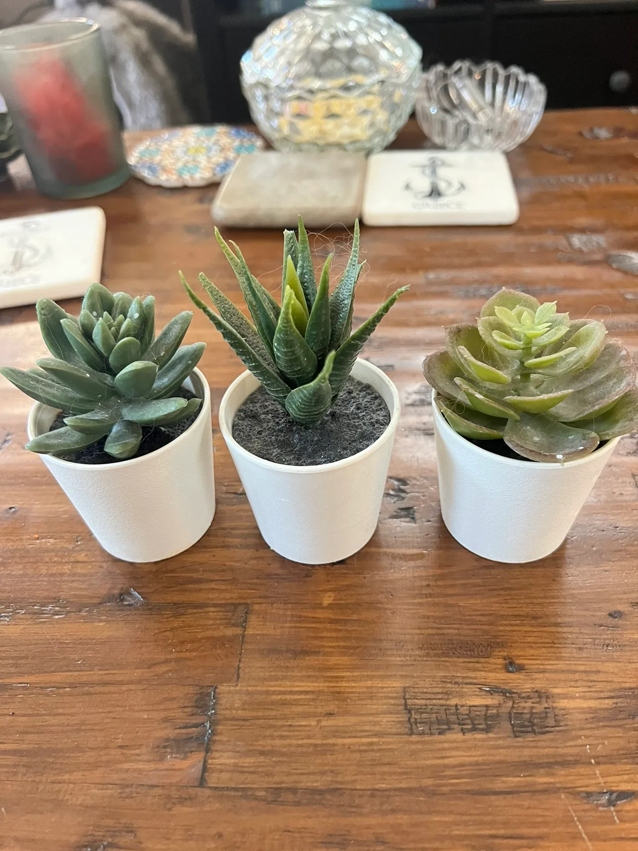 3 Artificial Succulents #freecycle thumbnail