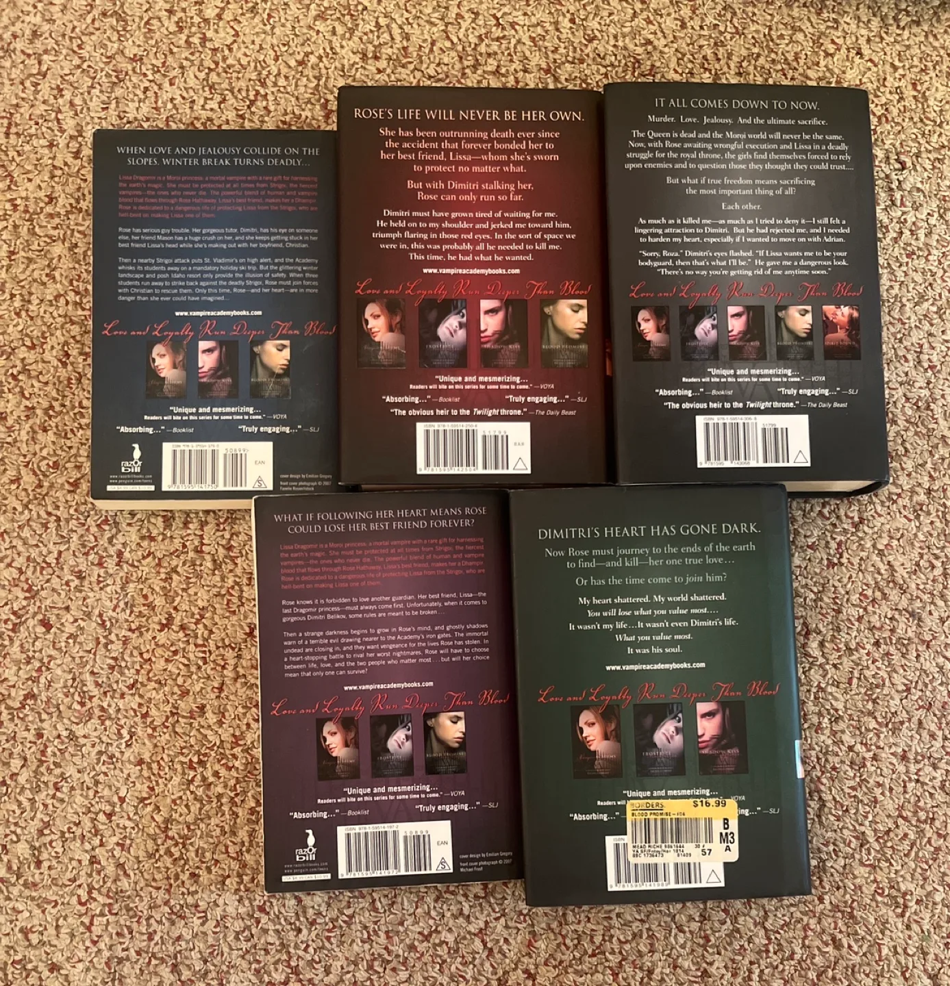 Vampire Academy Series Books 1-6 image indicator(2)