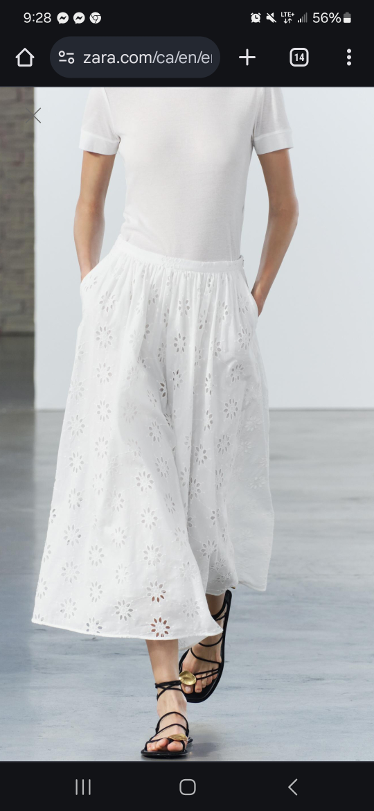 Zara Embroidered Eyelet Skirt  (M)