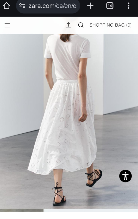 Zara Embroidered Eyelet Skirt  (M) - photo 5