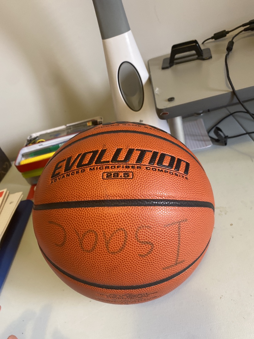 Wilson Evolution Basketball - photo 3