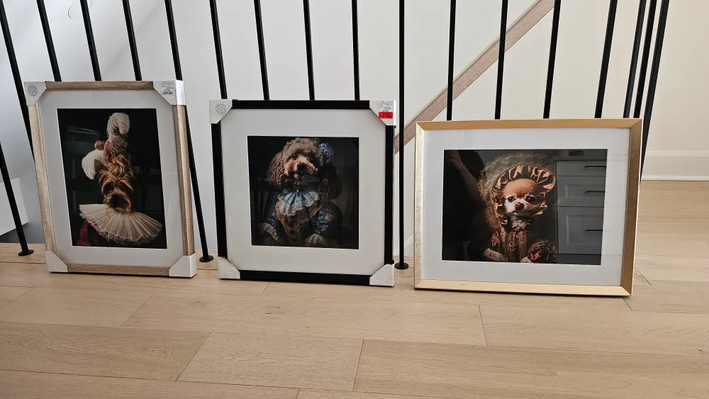 Framed Dog Prints thumbnail