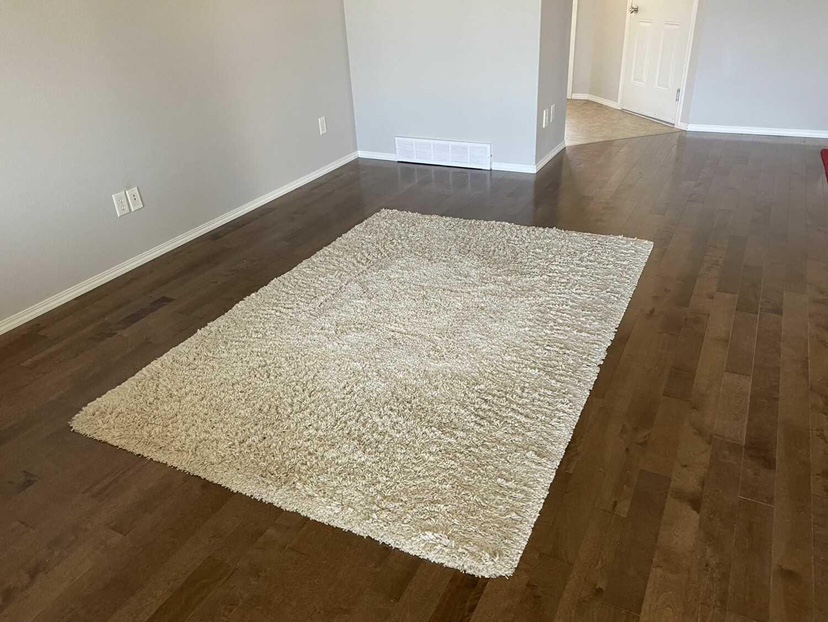 Cream Shag Rug - photo 2