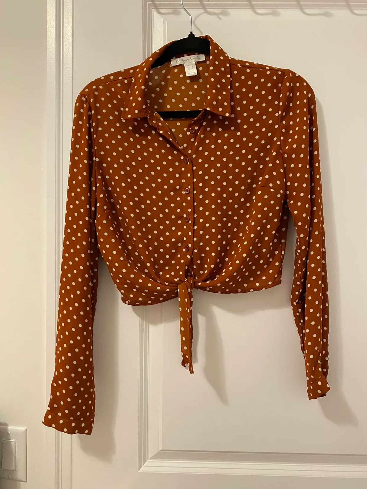 Polka Dot Blouse thumbnail