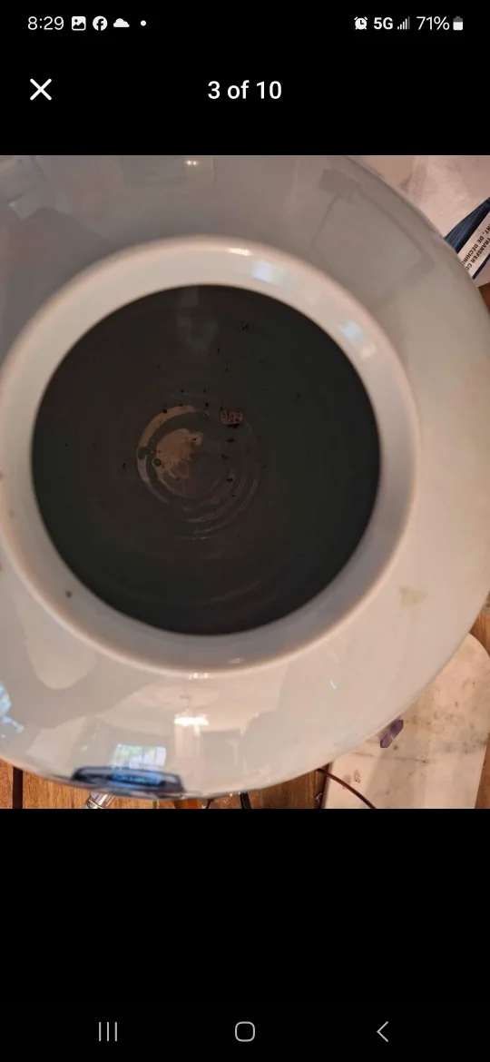 Large Mint Vintage Korean Blue & White Temple Vase Over 50 Ye& image indicator(3)