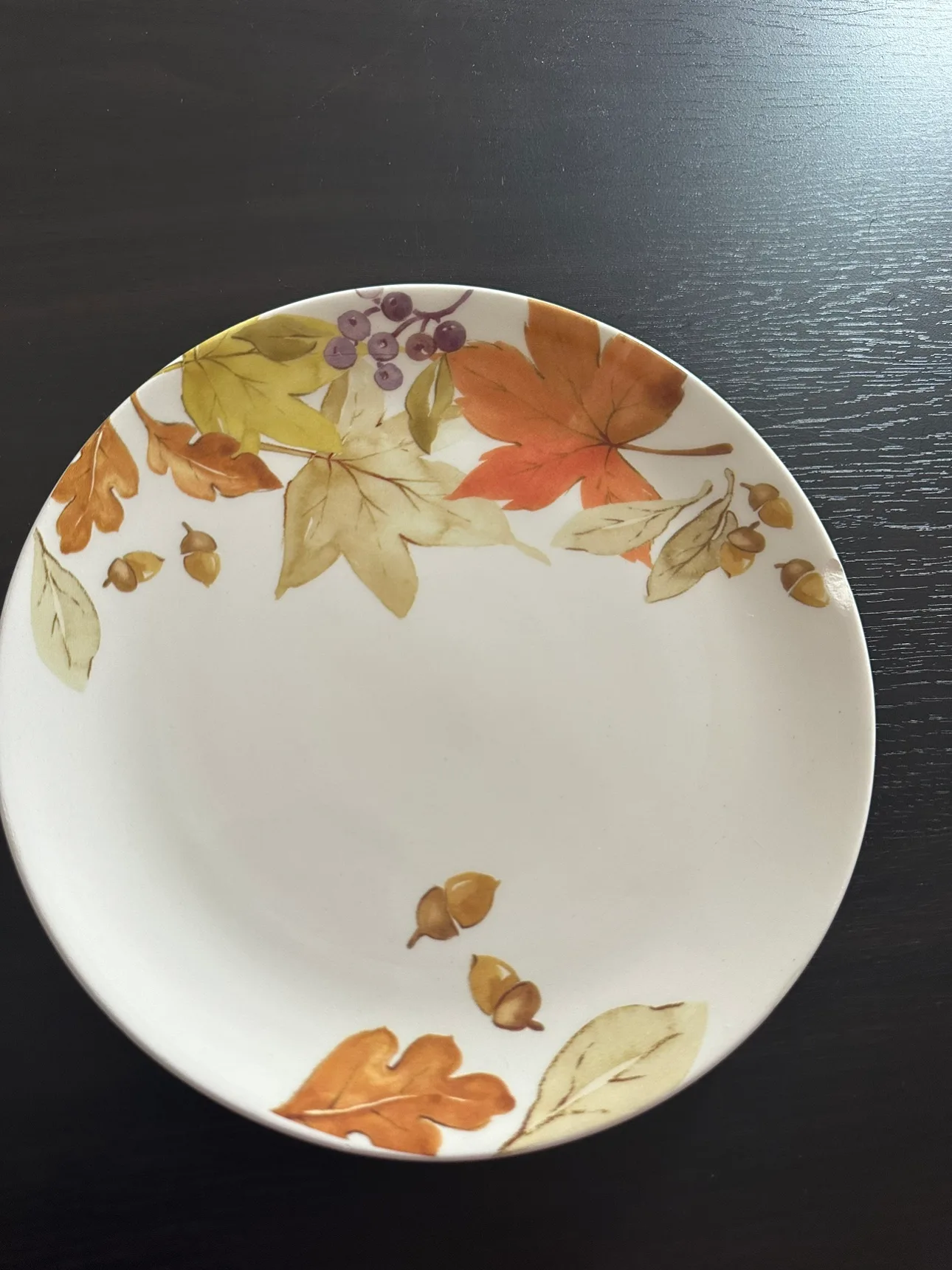 Autumn Leaves Dinner Plate thumbnail