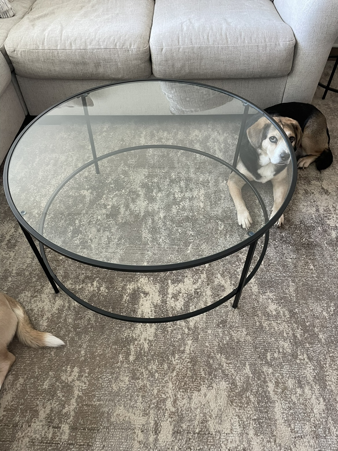 Round Glass Coffee Table - photo 2