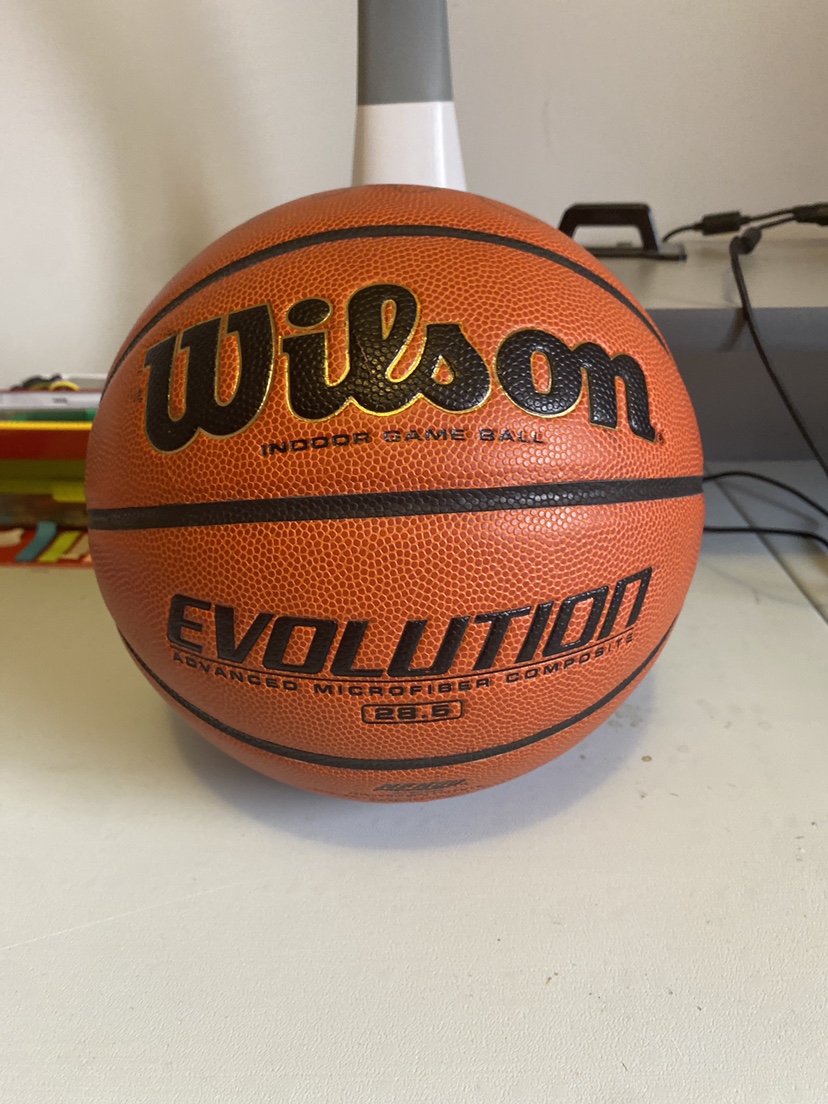 Wilson Evolution Basketball
