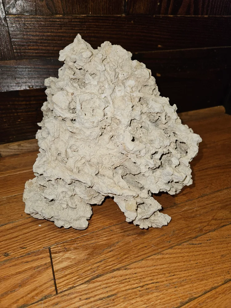 live rock for salt water aquarium image indicator(2)