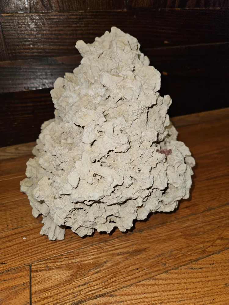 live rock for salt water aquarium image indicator(3)