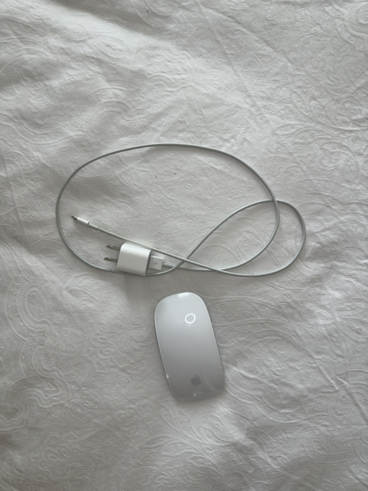Apple Magic Mouse