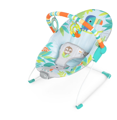 Baby Einstein Bouncer